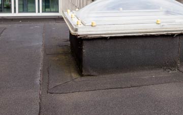 disadvantages of Lower Darkley flat roofs