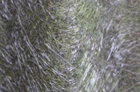 Lower Darkley fibreglass roof work