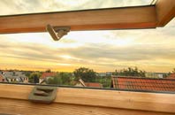 rated Lower Darkley roof window companies